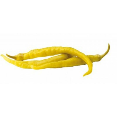 GUINDILLA VASCA T/ 3KG.