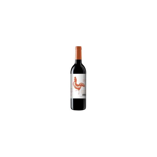 VINO TINTO ARCA DE NOE 75CL